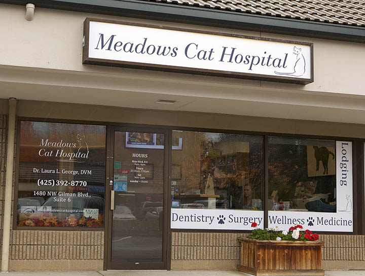 meadows cat hospital front