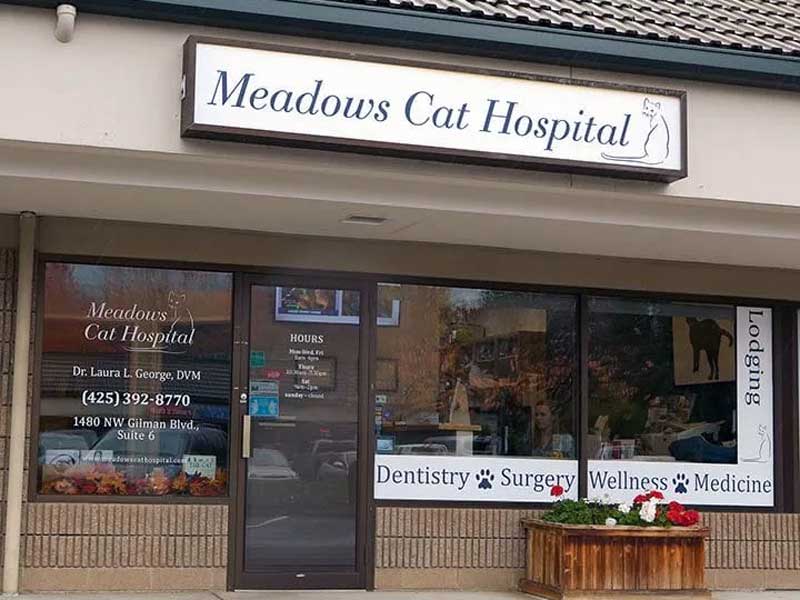 Issaquah Cat Hospital