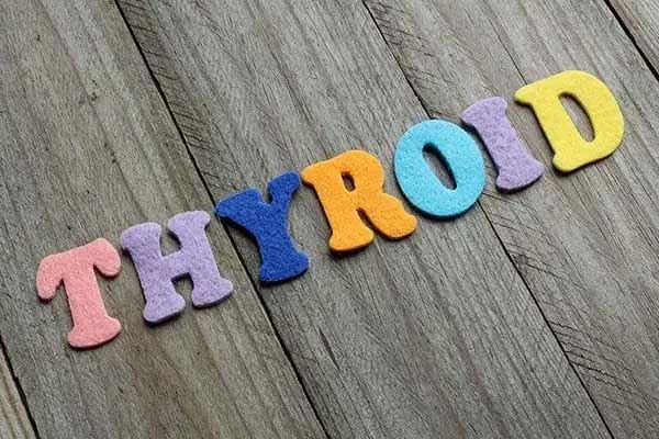 Thyroid